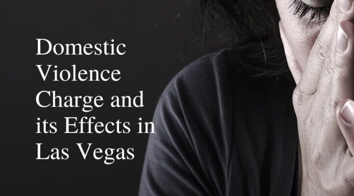 Domestic Violence Charge | Las Vegas